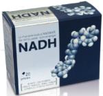 NADH ( Nicotinamide adénine dinucléotide)  20 gélules - 