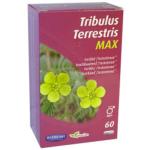 TRIBULUS MAX 60 gélules