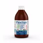 Flexilium buvable 250 ml LT LABO