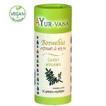Boswellia serrata biologique  60 gélules  extrait à 65 % Ayur vana