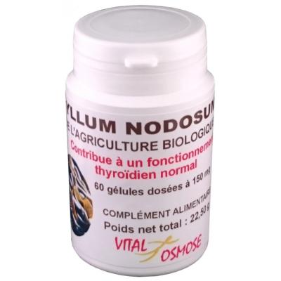 Ascophyllum Nodosum biologique (iode naturelle) - 60 gélules