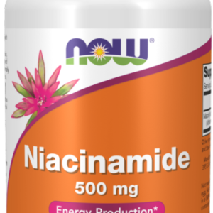 Niacinamide  B3 - 100 Caps. Now Foods