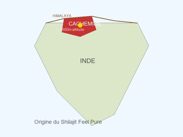 Carte du Cachemire origine du Shilajit Feel Pure Himalaya - Herba Barona Paris