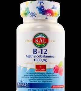 Vitamine B12 méthylcobalamine 1000 µg Kal 90 comp Paris Herba Barona