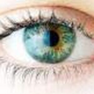 Yeux, confort visuel