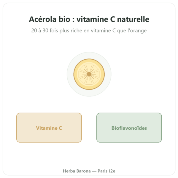 Acerola Bio – Novoma – 30 comprimés presentation Paris Herba Barona