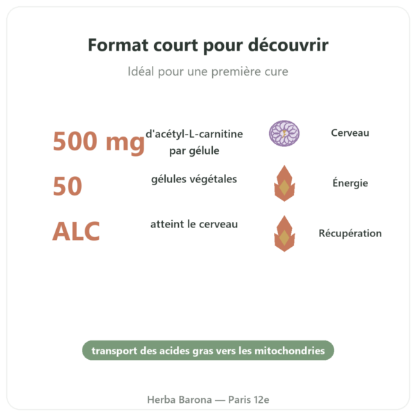 Acétyl-L-Carnitine 500 mg – NOW Foods – 50 gélules végétales bienfaits et chiffres Paris Herba Barona