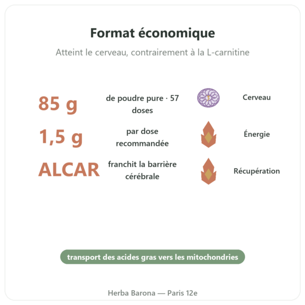 Acetyl-L-Carnitine Poudre Pure – 85g – Now Foods bienfaits et chiffres Paris Herba Barona