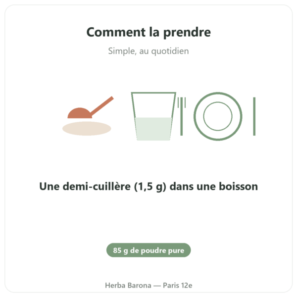 Acetyl-L-Carnitine Poudre Pure – 85g – Now Foods mode emploi conseil de prise Paris Herba Barona