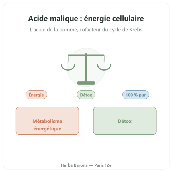 Acide malique poudre 500 g Nature et Partage presentation Paris Herba Barona