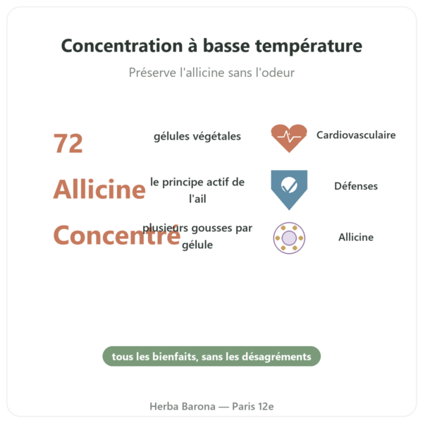Ail bio concentré – Revit'Ail – 72 gélules – Vecteur Santé bienfaits et chiffres Paris Herba Barona