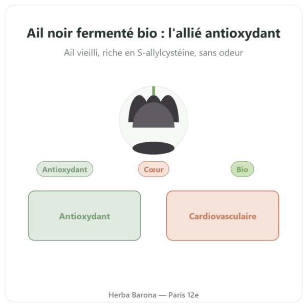 Ail noir fermenté Bio – Dynveo – 60 gélules presentation Paris Herba Barona