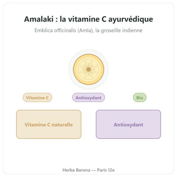 Amalaki Bio – Ayur-vana – 60 gélules presentation Paris Herba Barona