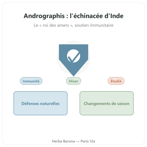 Andrographis – Ayur-vana – 60 gélules presentation Paris Herba Barona