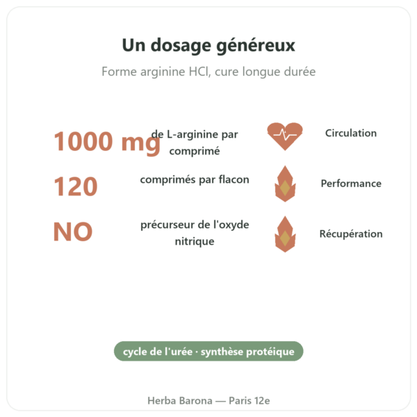 Arginine – 1 000 mg – Now foods – 120 comprimés bienfaits et chiffres Paris Herba Barona