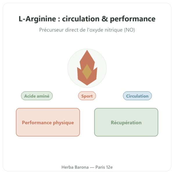Arginine – 1 000 mg – Now foods – 120 comprimés presentation Paris Herba Barona