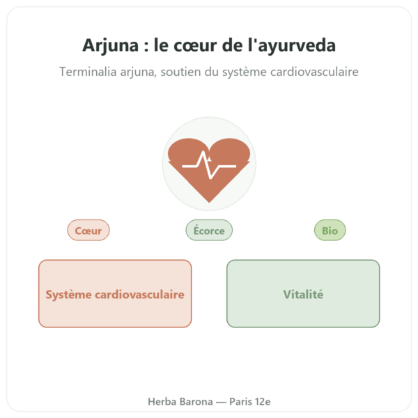 Arjuna Bio – Ayur-vana – 60 gélules presentation Paris Herba Barona