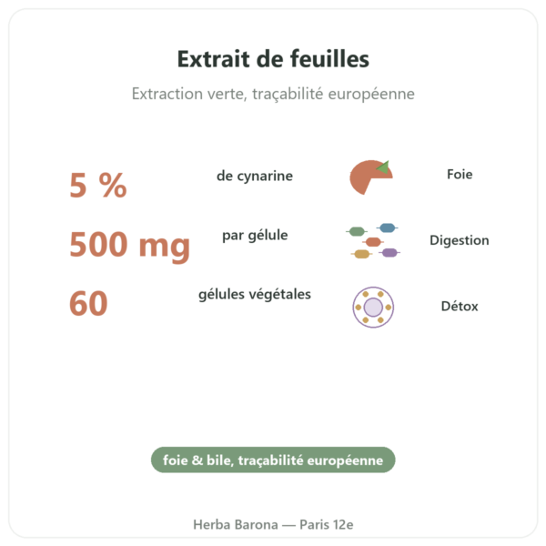 Artichaut 500 mg (5% de cynarine) 60 gel Dynveo bienfaits et chiffres Paris Herba Barona