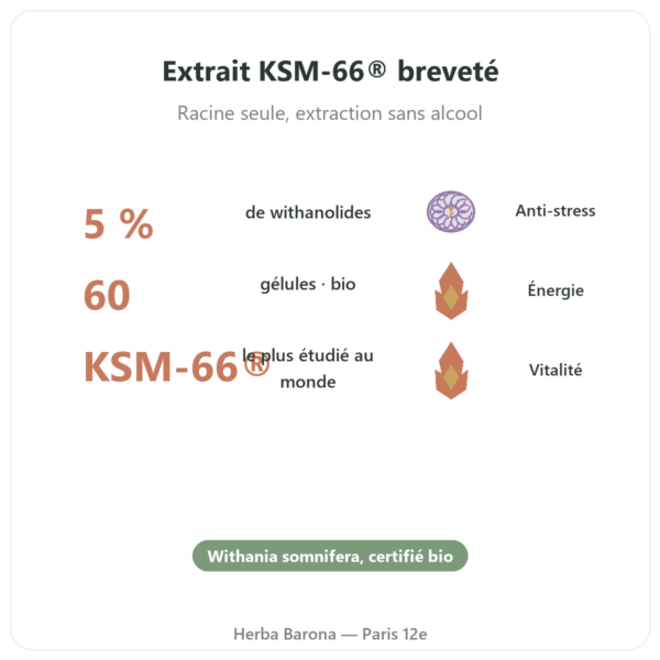 Ashwagandha bio KSM-66 5 % en Withanolides Dynveo 60 gélules bienfaits et chiffres Paris Herba Barona