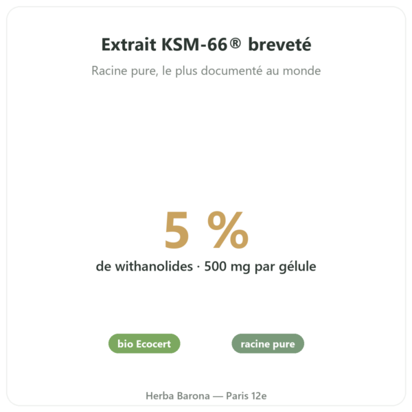 Ashwagandha bio KSM-66® – Novoma – 60 gélules bienfaits et chiffres Paris Herba Barona