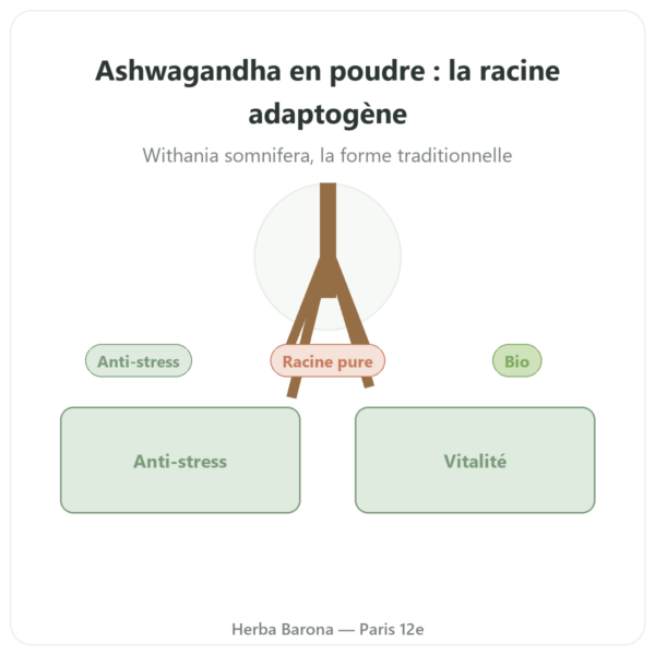Ashwagandha Bio Poudre – Ayur-vana – 150 g presentation Paris Herba Barona
