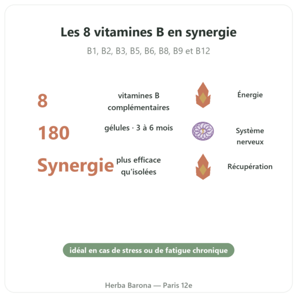 B Complex – Be-Life – 180 gélules – Vitamines B bienfaits et chiffres Paris Herba Barona