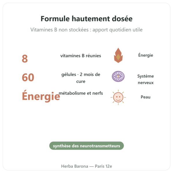 B Complex – Be-Life – 60 gélules – Vitamines B bienfaits et chiffres Paris Herba Barona