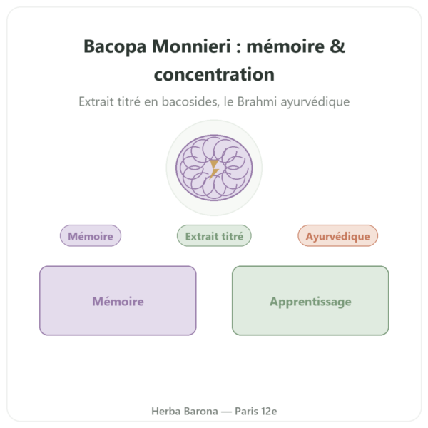 Bacopa Monnieri (bacosides) Extrait – Flacon de 60 gélules presentation Paris Herba Barona