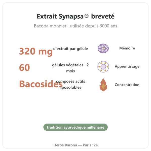 Bacopa Synapsa 320 mg 60 gélules Doctor's Best bienfaits et chiffres Paris Herba Barona