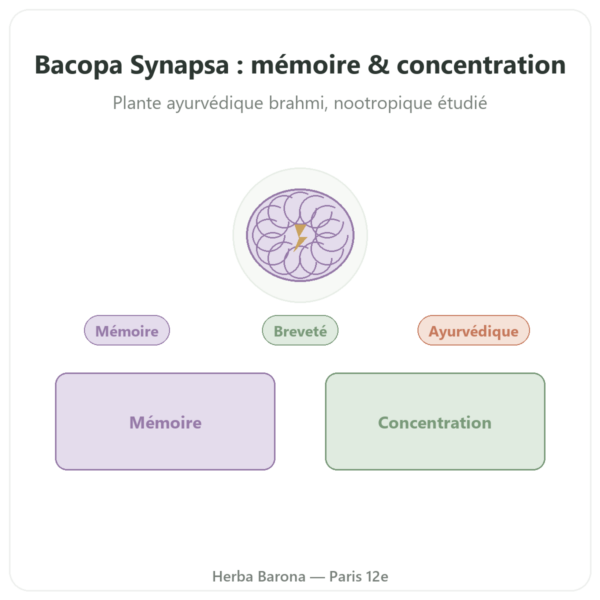 Bacopa Synapsa 320 mg 60 gélules Doctor's Best presentation Paris Herba Barona