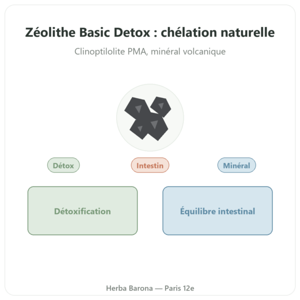 Basic Detox Plus POUDRE – Panacéo – 200g Ecoidées presentation Paris Herba Barona