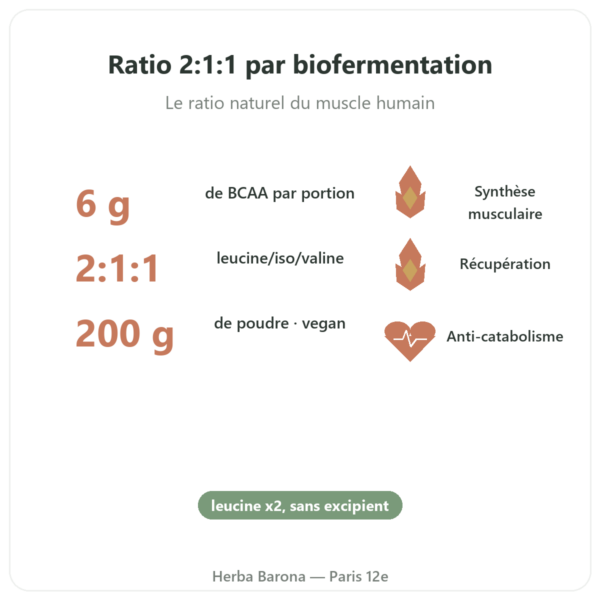BCAA 2.1.1 – Dynveo – poudre 200 g bienfaits et chiffres Paris Herba Barona