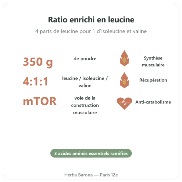BCAA 4:1:1 Poudre 350g – Nutrimuscle bienfaits et chiffres Paris Herba Barona