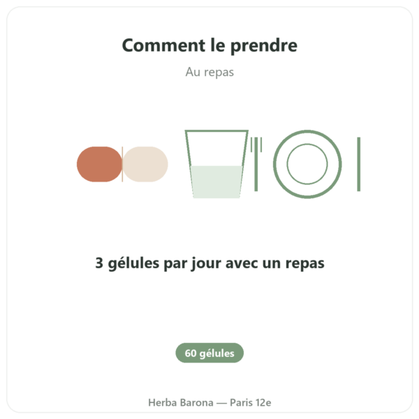 Berberine – Dynveo – 60 gélules mode emploi conseil de prise Paris Herba Barona