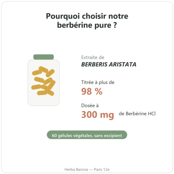 Berberine Dynveo 60 gelules pourquoi choisir Berberis aristata titree 98% 300mg HCl Paris Herba Barona