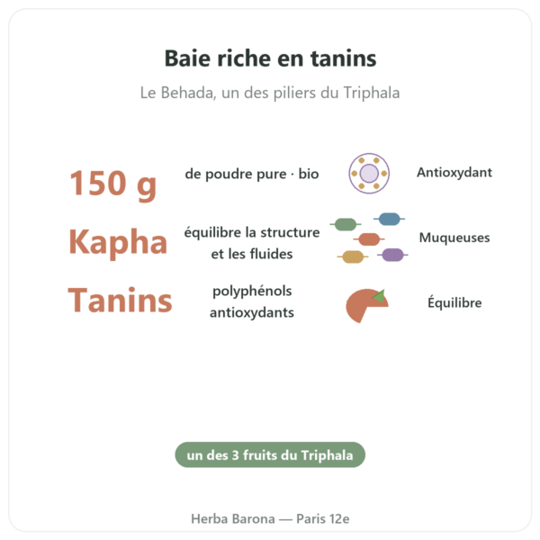 Bibhitaki bio - Sachet de poudre - 150 g - Ayur-vana bienfaits et chiffres Paris Herba Barona