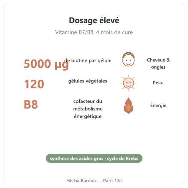 Biotin – 5000 mcg – 120 gélules – NOW Foods bienfaits et chiffres Paris Herba Barona