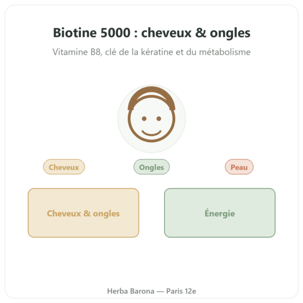 Biotin – 5000 mcg – 120 gélules – NOW Foods presentation Paris Herba Barona