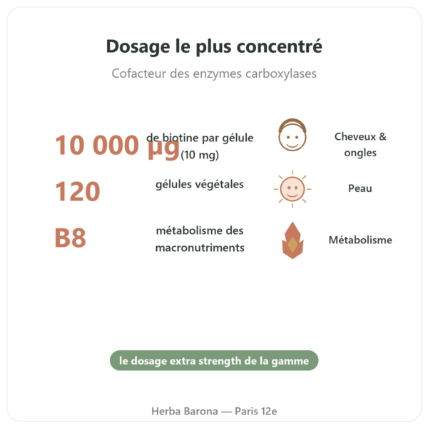 Biotine – 10 000 mcg (10 mg) – Now Foods – 120 gélules bienfaits et chiffres Paris Herba Barona