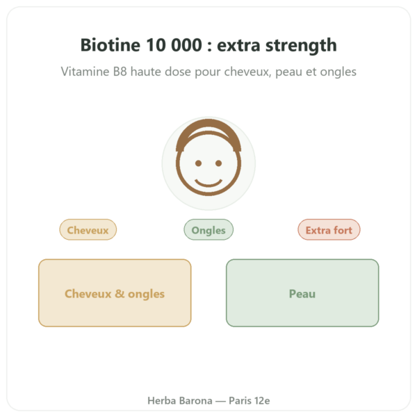 Biotine – 10 000 mcg (10 mg) – Now Foods – 120 gélules presentation Paris Herba Barona