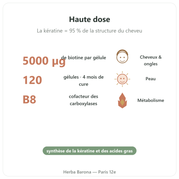 Biotine – 5000 mcg – 120 gélules – Doctor's best bienfaits et chiffres Paris Herba Barona