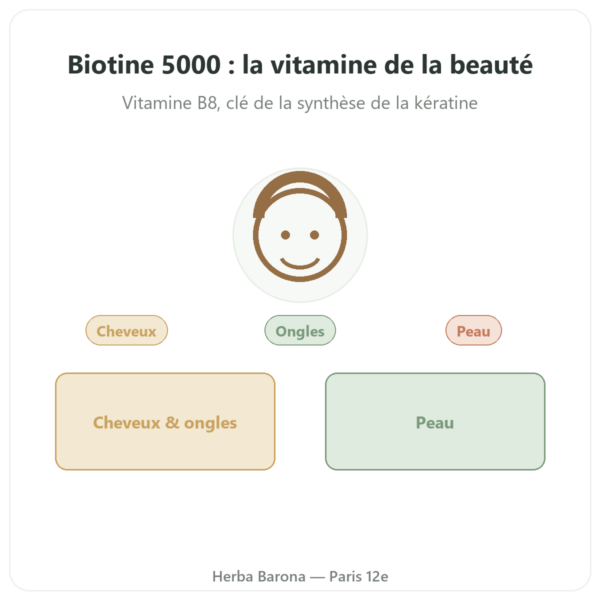 Biotine – 5000 mcg – 120 gélules – Doctor's best presentation Paris Herba Barona