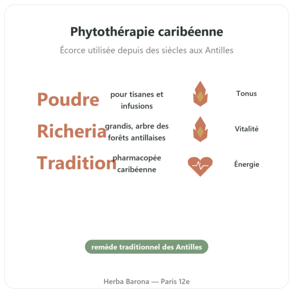 Bois Bandé en poudre aphrodisiaque pour homme bienfaits et chiffres Paris Herba Barona
