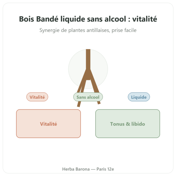 Bois Bande Liquide Sans Alcool Aphrodisiaque – Acheter presentation Paris Herba Barona