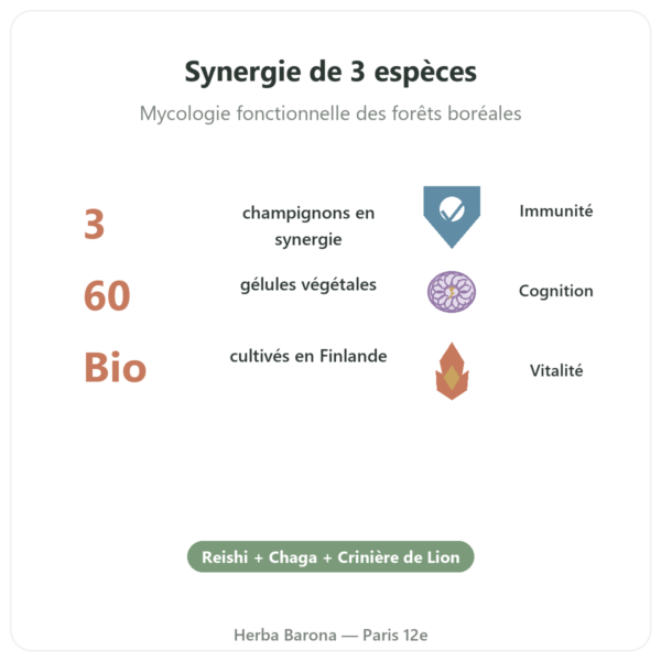 Boostalife Bio – SIHO 60 gélules (Reishi, Chaga, Hericium) bienfaits et chiffres Paris Herba Barona