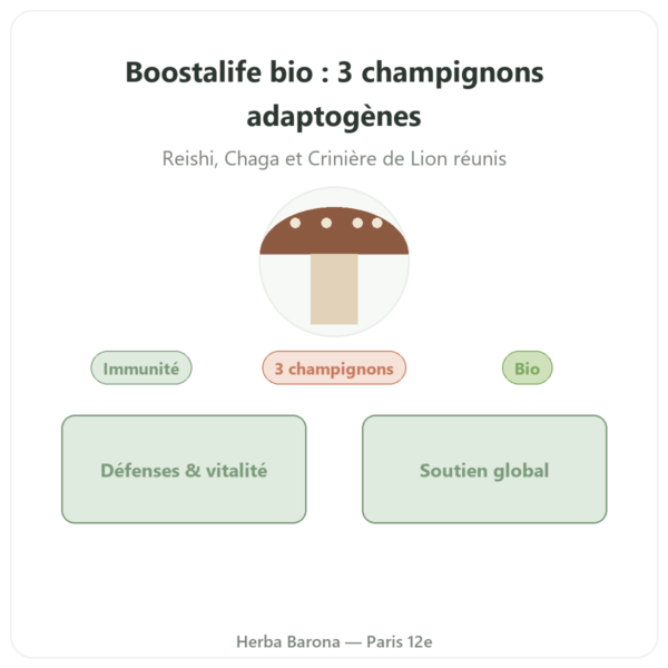 Boostalife Bio – SIHO 60 gélules (Reishi, Chaga, Hericium) presentation Paris Herba Barona