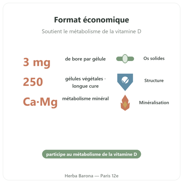Bore 3 mg – NOW Foods – 250 gélules végétales bienfaits et chiffres Paris Herba Barona