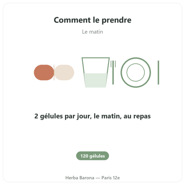 Brahmi (Bacopa Monnieri) – Ayur-vana – 120 gélules mode emploi conseil de prise Paris Herba Barona