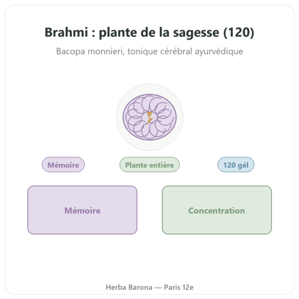 Brahmi (Bacopa Monnieri) – Ayur-vana – 120 gélules presentation Paris Herba Barona