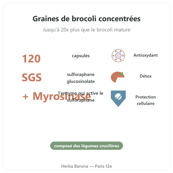 Broccomax Sulforaphane Extrait Broccoli Jarrow Formulas – 120 capsules bienfaits et chiffres Paris Herba Barona